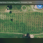foto apple di mario 3525