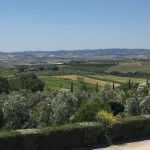 foto apple di mario 3537